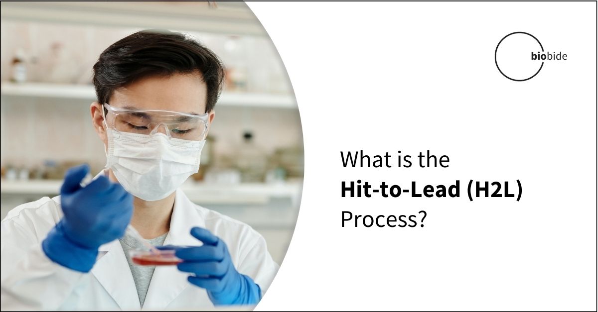 what-is-the-hit-to-lead-h2l-process